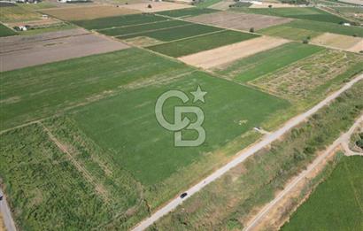 AYVALIK ALTINOVA SATILIK TARLA 26.300 m² 190 METRE YOL CEPHELİ
