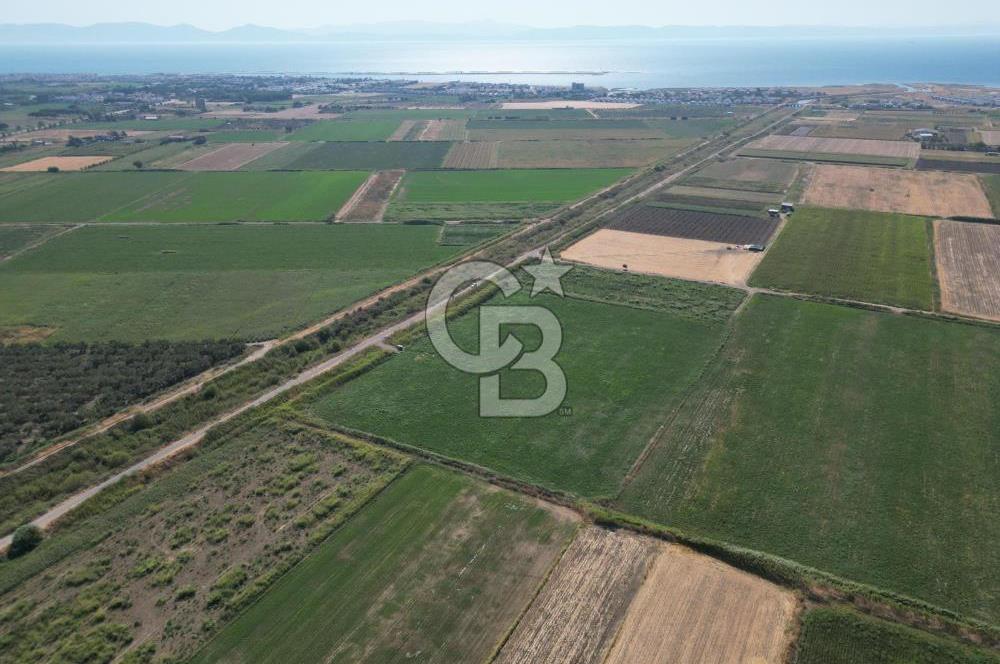 AYVALIK ALTINOVA SATILIK TARLA 26.300 m² 190 METRE YOL CEPHELİ