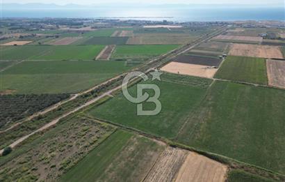 AYVALIK ALTINOVA SATILIK TARLA 26.300 m² 190 METRE YOL CEPHELİ
