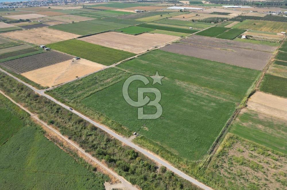 AYVALIK ALTINOVA SATILIK TARLA 26.300 m² 190 METRE YOL CEPHELİ