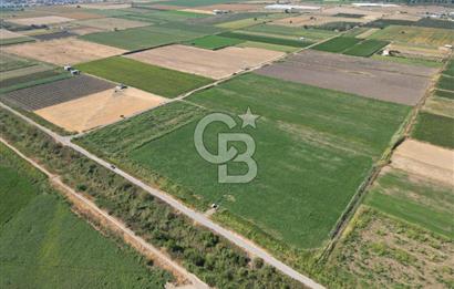 AYVALIK ALTINOVA SATILIK TARLA 26.300 m² 190 METRE YOL CEPHELİ