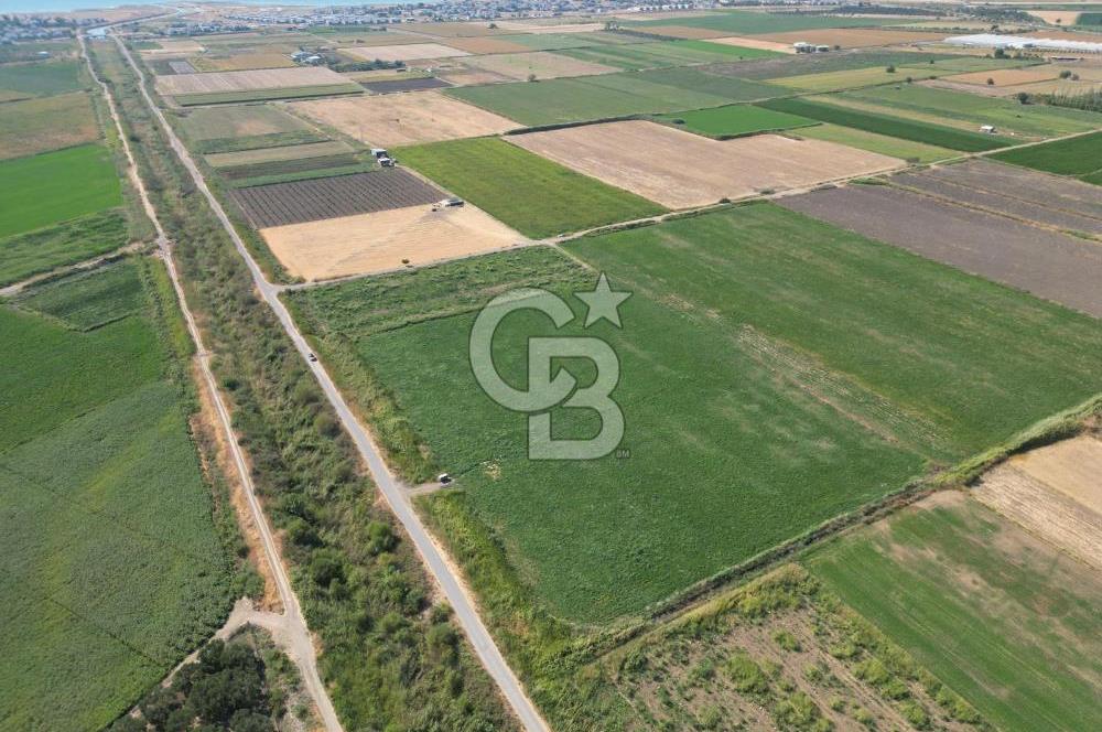 AYVALIK ALTINOVA SATILIK TARLA 26.300 m² 190 METRE YOL CEPHELİ