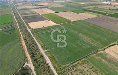 AYVALIK ALTINOVA SATILIK TARLA 26.300 m² 190 METRE YOL CEPHELİ