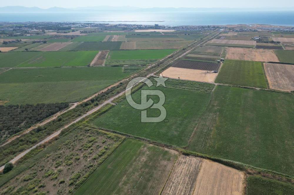 AYVALIK ALTINOVA SATILIK TARLA 26.300 m² 190 METRE YOL CEPHELİ