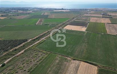AYVALIK ALTINOVA SATILIK TARLA 26.300 m² 190 METRE YOL CEPHELİ