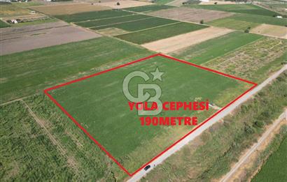 AYVALIK ALTINOVA SATILIK TARLA 26.300 m² 190 METRE YOL CEPHELİ