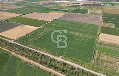 AYVALIK ALTINOVA SATILIK TARLA 26.300 m² 190 METRE YOL CEPHELİ