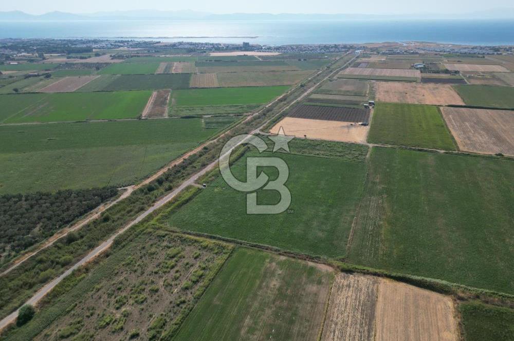 AYVALIK ALTINOVA SATILIK TARLA 26.300 m² 190 METRE YOL CEPHELİ