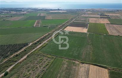 AYVALIK ALTINOVA SATILIK TARLA 26.300 m² 190 METRE YOL CEPHELİ