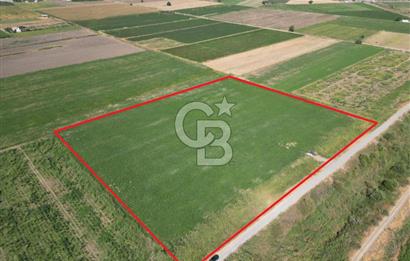 AYVALIK ALTINOVA SATILIK TARLA 26.300 m² 190 METRE YOL CEPHELİ