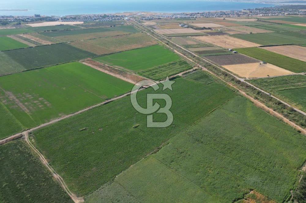 AYVALIK ALTINOVASATILIK TARLA 40.100 m² 280 METRE YOL CEPHELİ