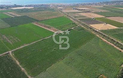 AYVALIK ALTINOVASATILIK TARLA 40.100 m² 280 METRE YOL CEPHELİ