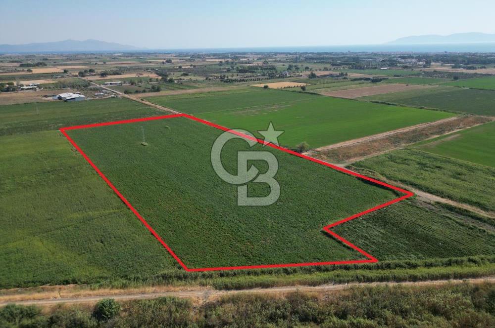 AYVALIK ALTINOVASATILIK TARLA 40.100 m² 280 METRE YOL CEPHELİ
