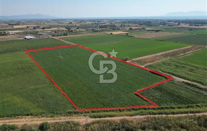 AYVALIK ALTINOVASATILIK TARLA 40.100 m² 280 METRE YOL CEPHELİ
