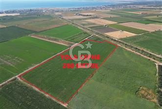 AYVALIK ALTINOVASATILIK TARLA 40.100 m² 280 METRE YOL CEPHELİ