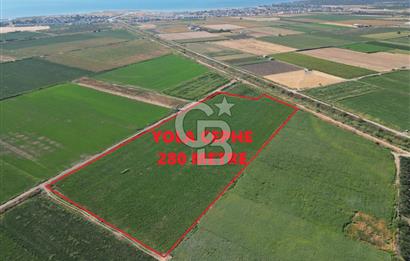 AYVALIK ALTINOVASATILIK TARLA 40.100 m² 280 METRE YOL CEPHELİ