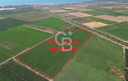 AYVALIK ALTINOVASATILIK TARLA 40.100 m² 280 METRE YOL CEPHELİ