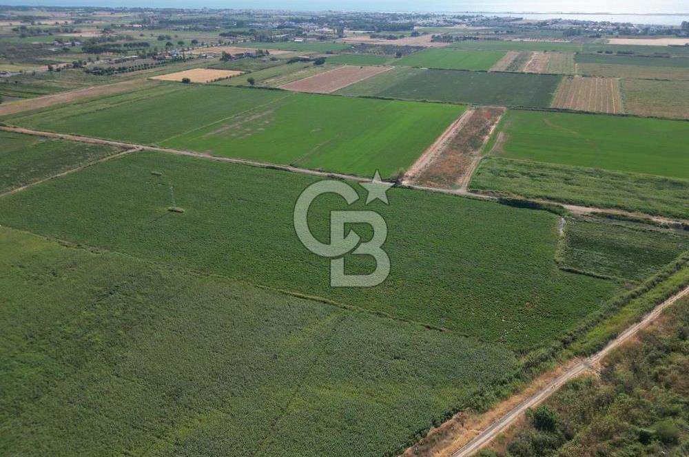 AYVALIK ALTINOVASATILIK TARLA 40.100 m² 280 METRE YOL CEPHELİ