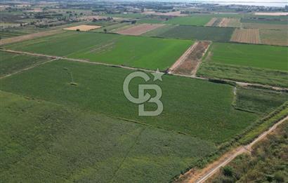 AYVALIK ALTINOVASATILIK TARLA 40.100 m² 280 METRE YOL CEPHELİ