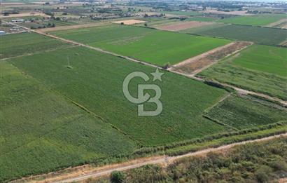 AYVALIK ALTINOVASATILIK TARLA 40.100 m² 280 METRE YOL CEPHELİ