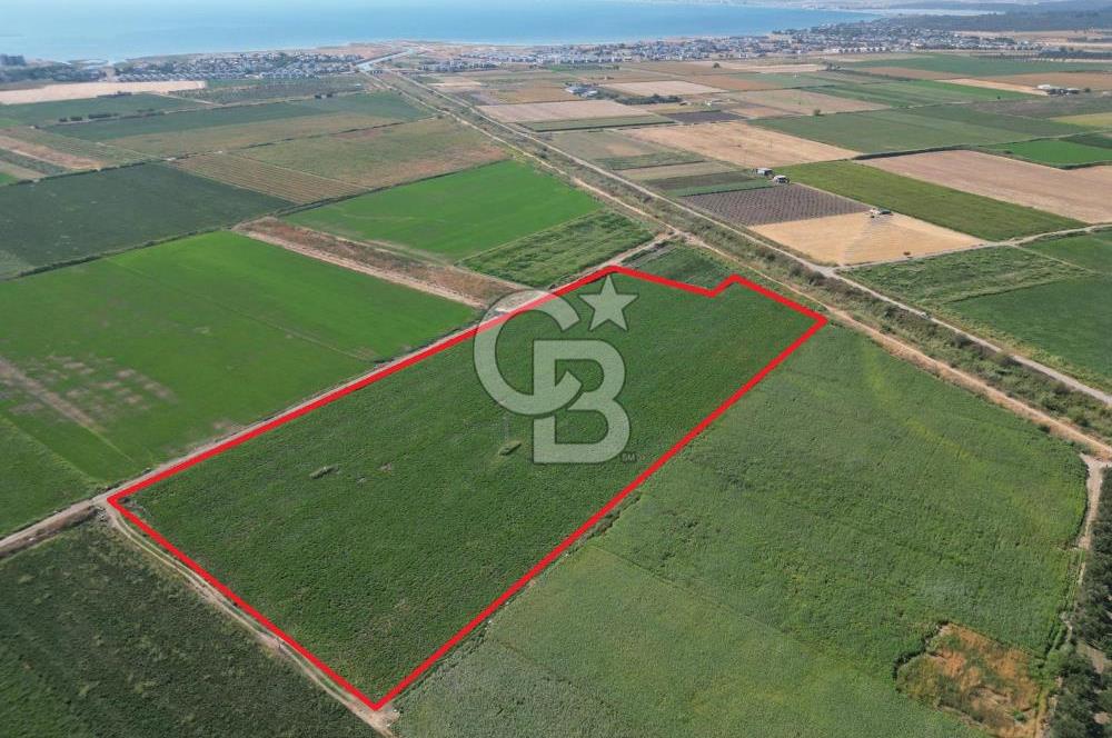 AYVALIK ALTINOVASATILIK TARLA 40.100 m² 280 METRE YOL CEPHELİ