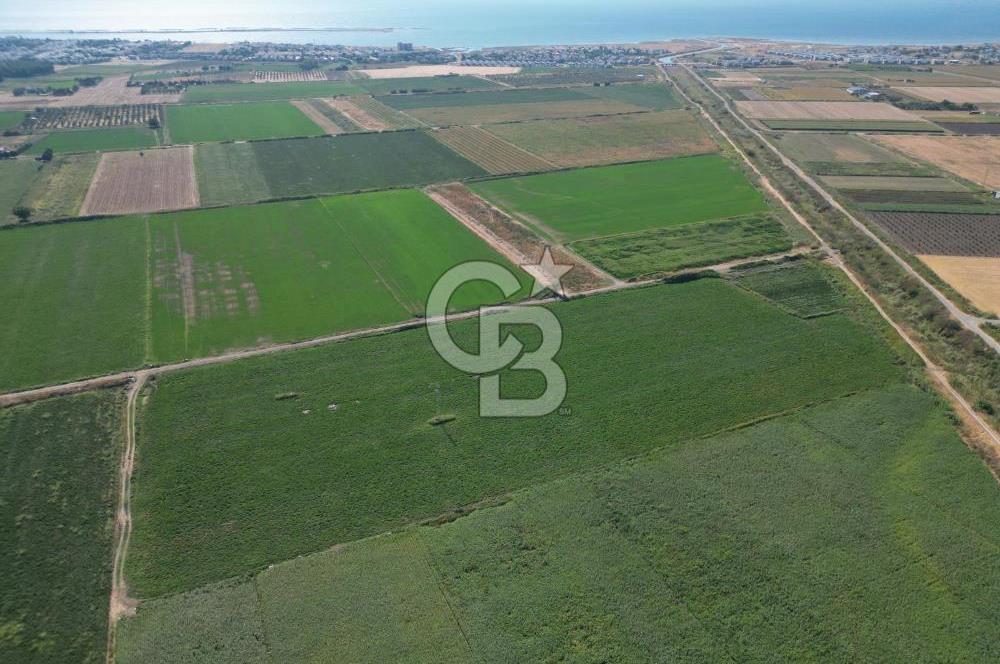AYVALIK ALTINOVASATILIK TARLA 40.100 m² 280 METRE YOL CEPHELİ