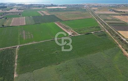AYVALIK ALTINOVASATILIK TARLA 40.100 m² 280 METRE YOL CEPHELİ