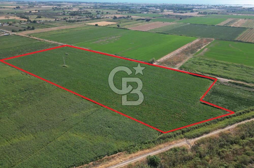 AYVALIK ALTINOVASATILIK TARLA 40.100 m² 280 METRE YOL CEPHELİ