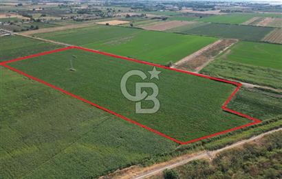 AYVALIK ALTINOVASATILIK TARLA 40.100 m² 280 METRE YOL CEPHELİ
