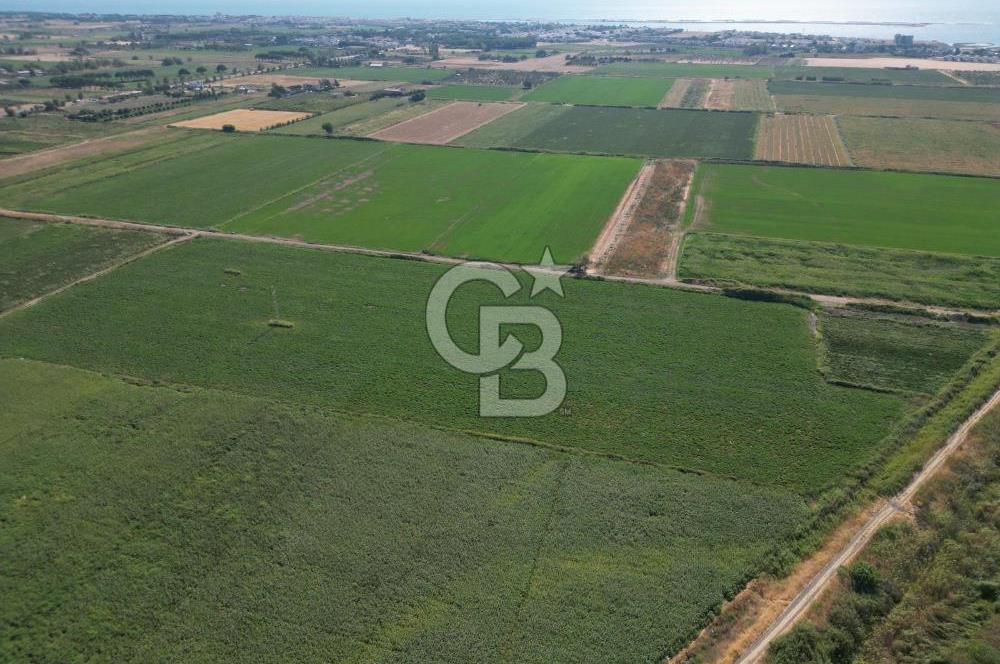 AYVALIK ALTINOVASATILIK TARLA 40.100 m² 280 METRE YOL CEPHELİ
