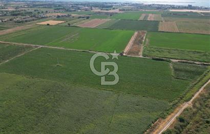 AYVALIK ALTINOVASATILIK TARLA 40.100 m² 280 METRE YOL CEPHELİ