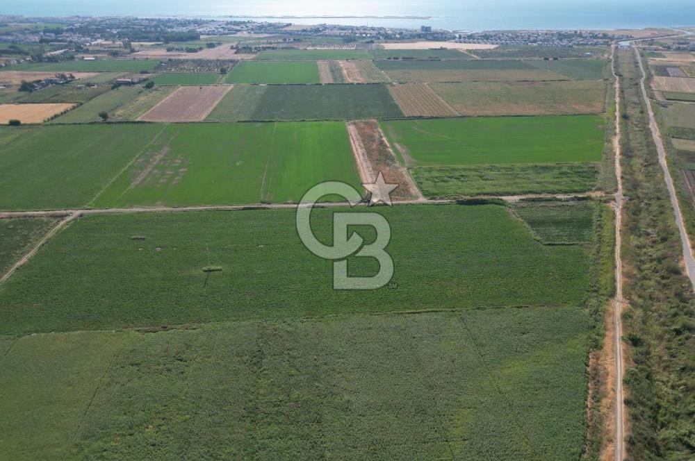 AYVALIK ALTINOVASATILIK TARLA 40.100 m² 280 METRE YOL CEPHELİ
