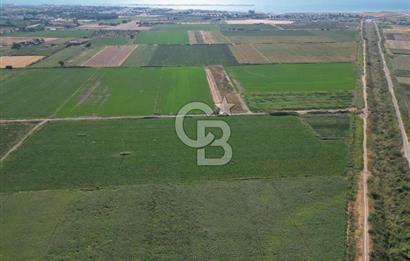 AYVALIK ALTINOVASATILIK TARLA 40.100 m² 280 METRE YOL CEPHELİ