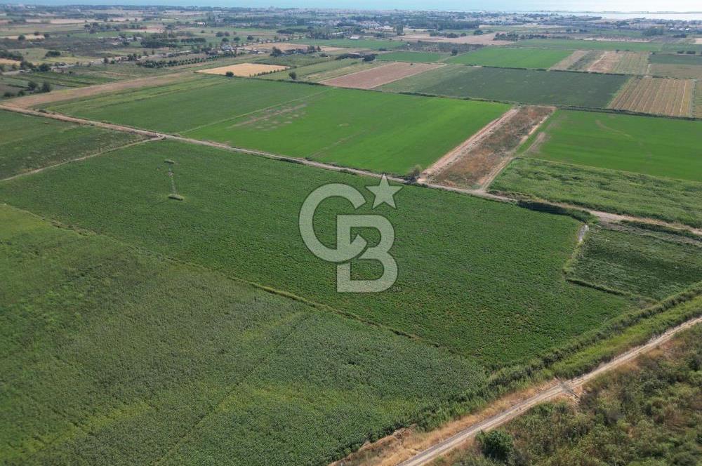 AYVALIK ALTINOVASATILIK TARLA 40.100 m² 280 METRE YOL CEPHELİ