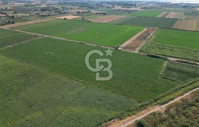 AYVALIK ALTINOVASATILIK TARLA 40.100 m² 280 METRE YOL CEPHELİ