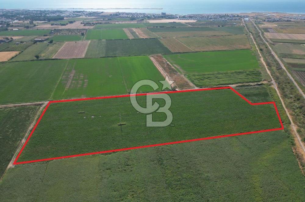 AYVALIK ALTINOVASATILIK TARLA 40.100 m² 280 METRE YOL CEPHELİ