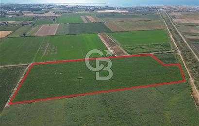 AYVALIK ALTINOVASATILIK TARLA 40.100 m² 280 METRE YOL CEPHELİ