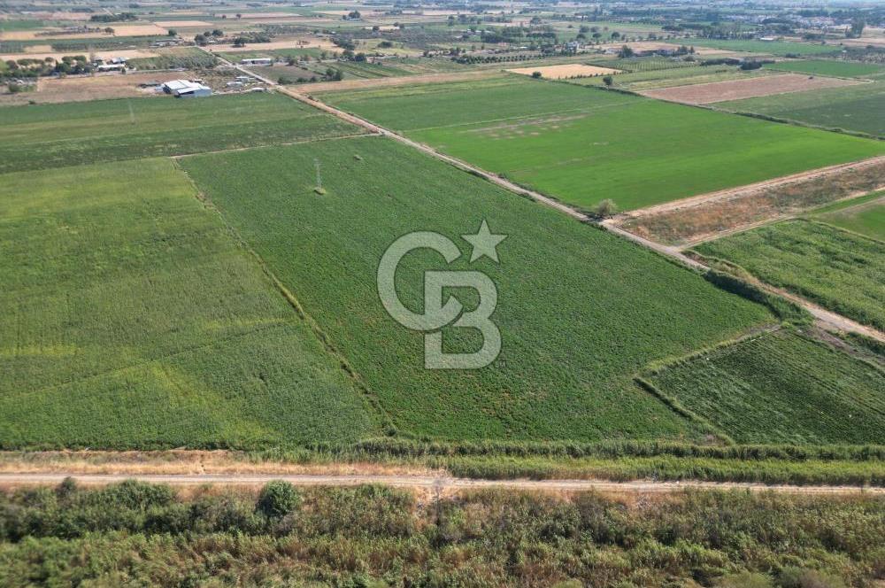 AYVALIK ALTINOVASATILIK TARLA 40.100 m² 280 METRE YOL CEPHELİ