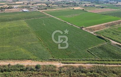 AYVALIK ALTINOVASATILIK TARLA 40.100 m² 280 METRE YOL CEPHELİ