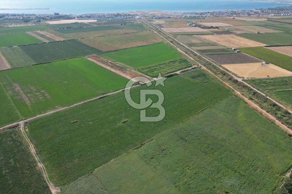AYVALIK ALTINOVASATILIK TARLA 40.100 m² 280 METRE YOL CEPHELİ