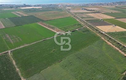 AYVALIK ALTINOVASATILIK TARLA 40.100 m² 280 METRE YOL CEPHELİ