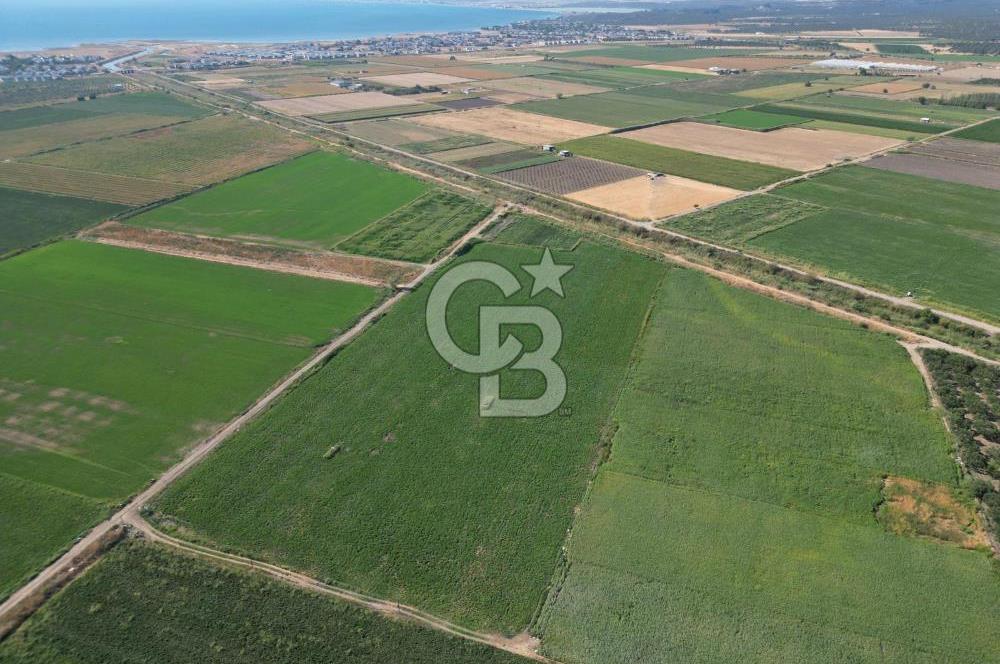 AYVALIK ALTINOVASATILIK TARLA 40.100 m² 280 METRE YOL CEPHELİ