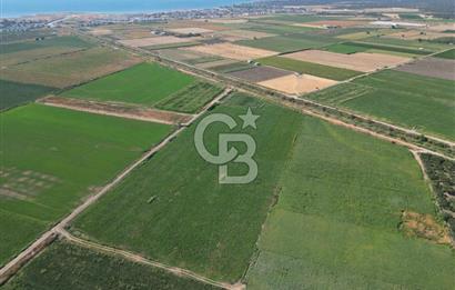 AYVALIK ALTINOVASATILIK TARLA 40.100 m² 280 METRE YOL CEPHELİ