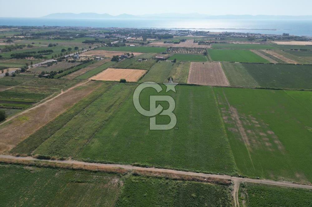 AYVALIK ALTINOVA SATILIK TARLA 33.870 m² 140 METRE YOL CEPHELİ