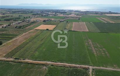 AYVALIK ALTINOVA SATILIK TARLA 33.870 m² 140 METRE YOL CEPHELİ