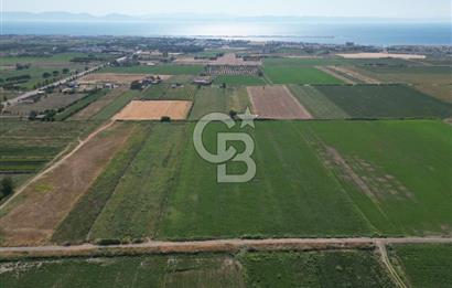 AYVALIK ALTINOVA SATILIK TARLA 33.870 m² 140 METRE YOL CEPHELİ