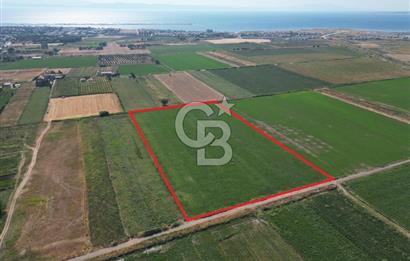 AYVALIK ALTINOVA SATILIK TARLA 33.870 m² 140 METRE YOL CEPHELİ