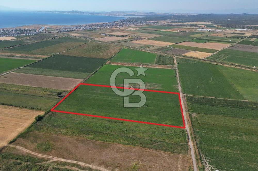 AYVALIK ALTINOVA SATILIK TARLA 33.870 m² 140 METRE YOL CEPHELİ
