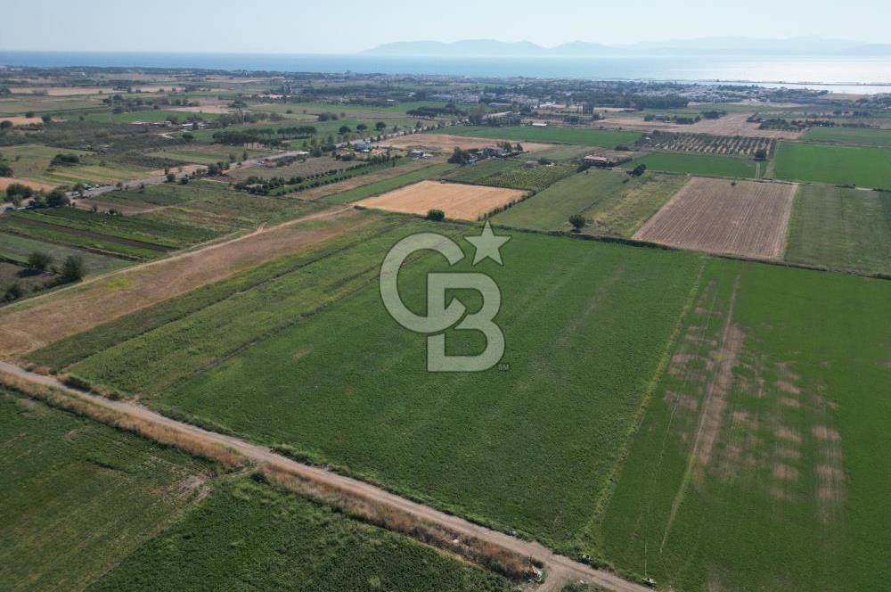 AYVALIK ALTINOVA SATILIK TARLA 33.870 m² 140 METRE YOL CEPHELİ