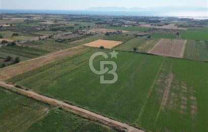 AYVALIK ALTINOVA SATILIK TARLA 33.870 m² 140 METRE YOL CEPHELİ